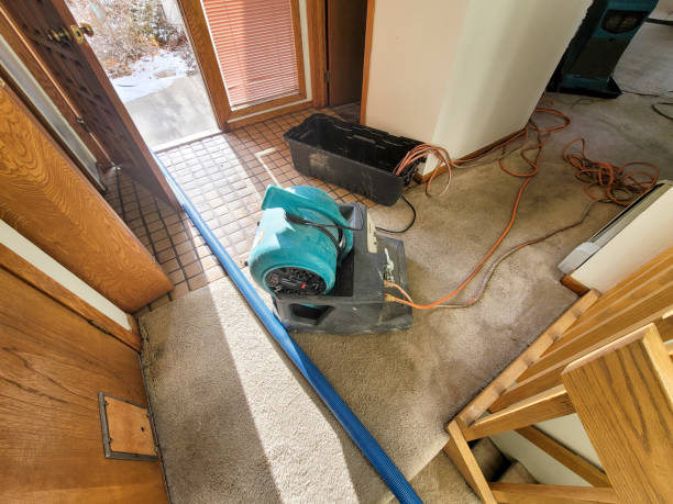 Best Local water damage restoration  in Edgewater, FL