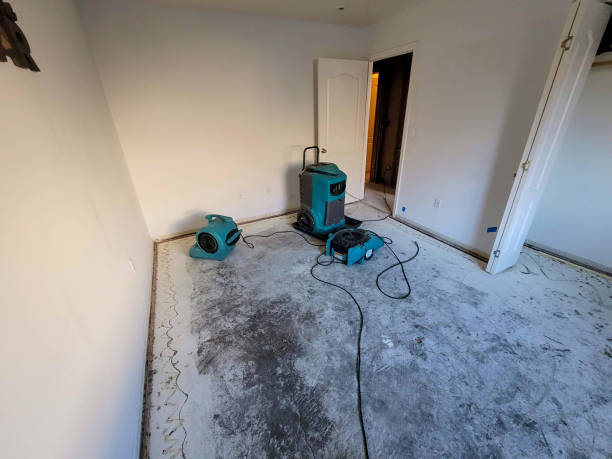 Best Ceiling water damage repair  in Edgewater, FL