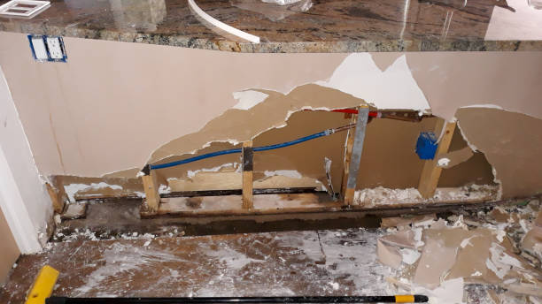 Best Mold removal after water damage  in Edgewater, FL