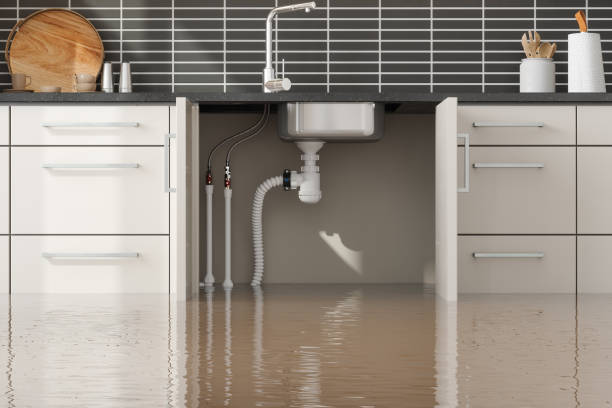 Trusted Edgewater, FL Water damage restoration Experts